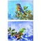 Bird Collection by Ata Alishahi 15" x 12" Canvas Wall Art (Set of 2)